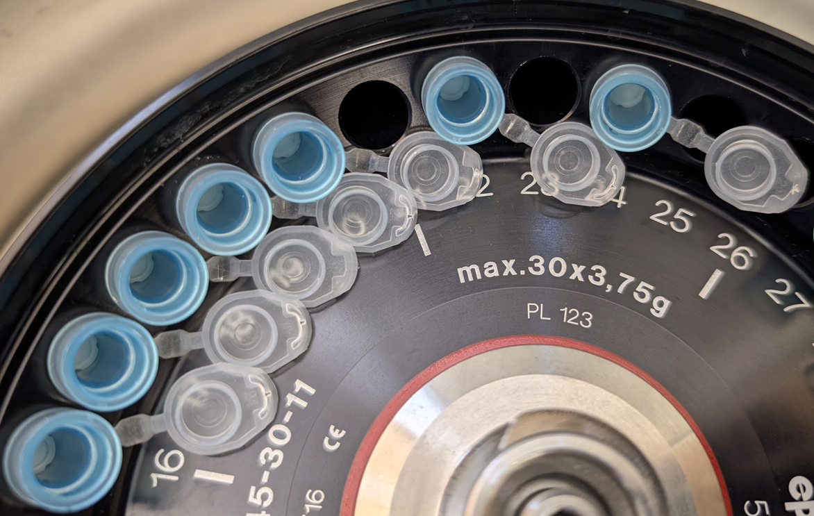 Centrifuge tube cap bracing